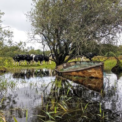 Teaser Pêche en Irlande