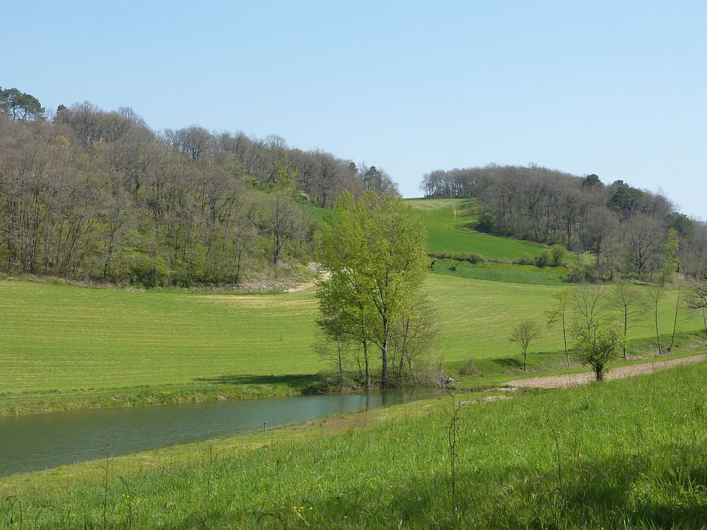 Diverses randonnées, essentiellement dans le Tarn