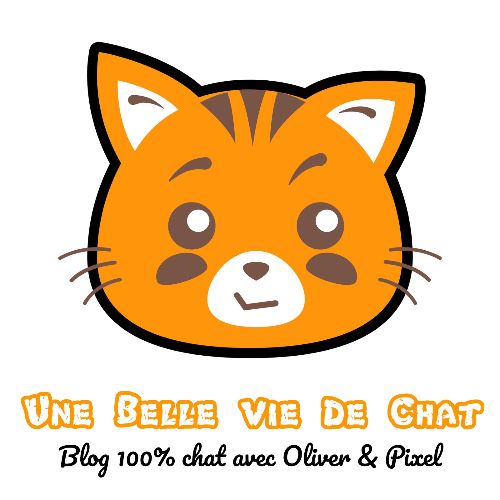 Une Belle Vie De Chat Le Blog 100 Chat