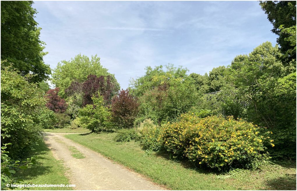 Balade au parc du château de Compiègne