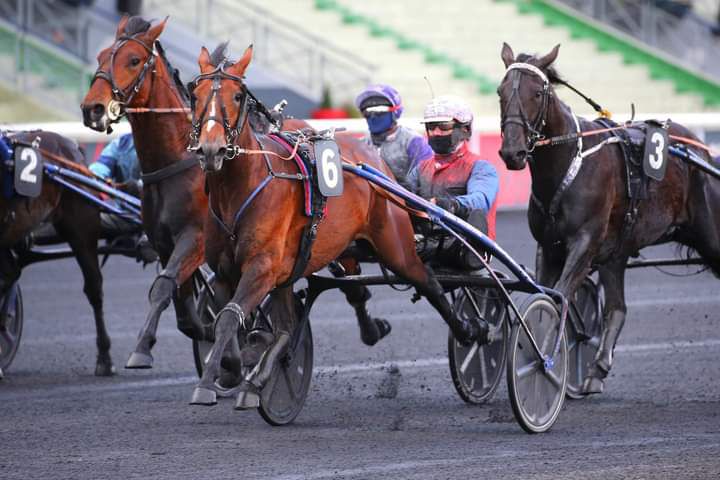 LUNDI 15 FÉVRIER 2021/VINCENNES