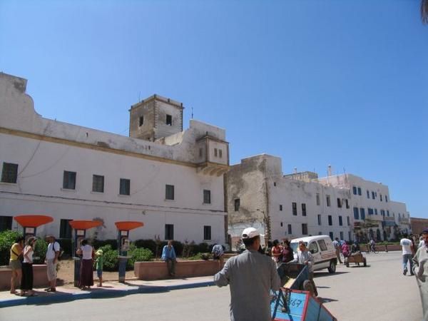 quelques 106 photos d'Essaouira, de son port, de ses mouettes et de ses chats plus ou moins mités