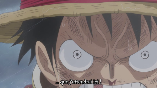 One Piece Captainmugiwara