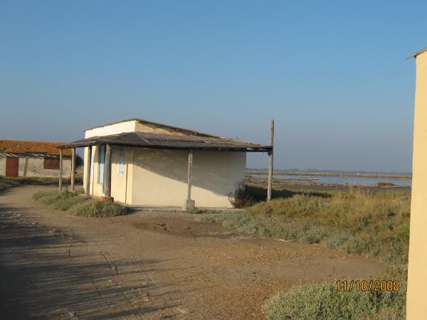 Album - Balade-dans-les-Cabanes-de-Mauguio