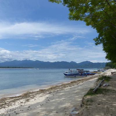 Gili's Island