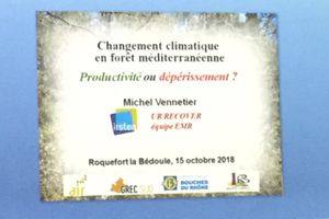 Les effets du changement climatique sur la forêt en PACA