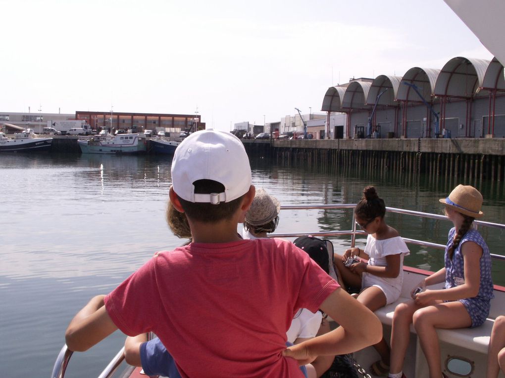 Sur le Bassin d'Arcachon