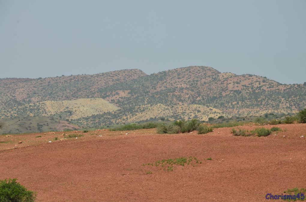 P3105 Ouzoud-RN8 (Maroc en camping-car)