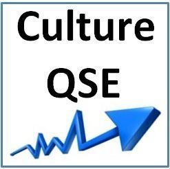 Culture QSE
