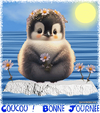 Pingouin sur banquise et fleurs - gif animé bonne journée-a