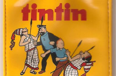 Porta-moedas Tintin