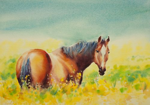 Dessin et peinture - vidéo 2435 : Comment peindre à l'aquarelle, un cheval dans le pré ?