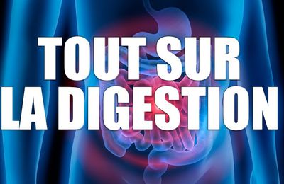 Tout SAVOIR sur la DIGESTION