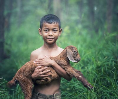 Evangile du Mardi 07 Décembre « Dieu ne veut pas qu’un seul de ces petits soit perdu » (Mt 18, 12-14) #parti2zero # evangile