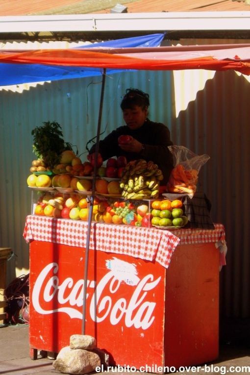 La Paz.... des délires de fou, des combats de catch féminins qui terminent en sang, du cactus hallucinogène, une ville vivante et vraiment unique! 5 jours de pur bonheur. Merci Brice, Laura, Emi, Osmar et bien sur le Loki Hostellllll