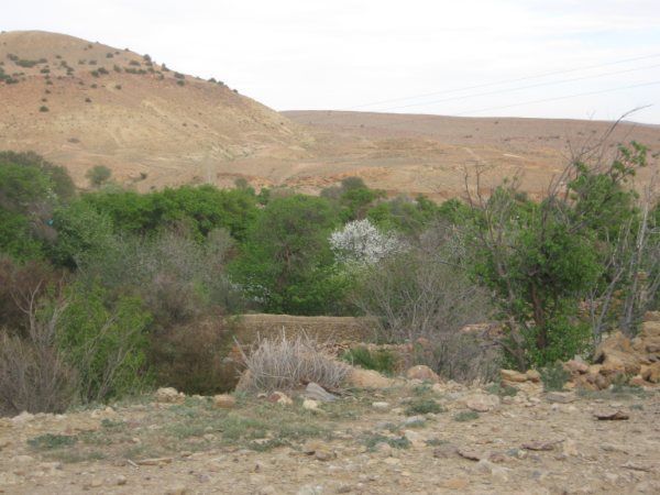 PHOTOS D'EL GHICHA (AFLOU-Laghouat)