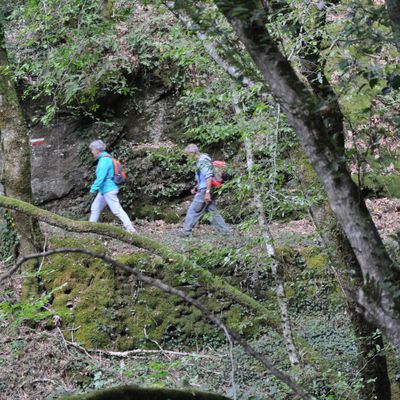 Randonnée Gorges de la Cère 17/10/2023