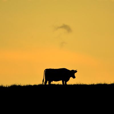 Coucher de soleil sur la montagne...