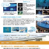 年間パスポート | 新江ノ島水族館