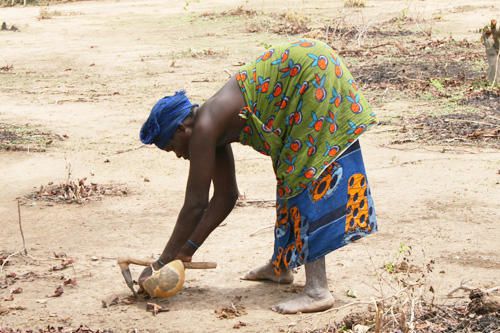 Photo d'enfants et d'habitants travaillant dans les champs de Tensobtenga au Burkina Faso.<br /><br /><a href="http://www.ecole-de-tenso-au-burkina.net/article-4840241.html">Voir une vid&eacute;o du travail dans les champs</a><br /><br /><br /><span style="font-size: 10pt; font-family: Arial;"><font size="1" style="color: rgb(255, 153, 0);"><a href="http://www.ecole-de-tenso-au-burkina.net ">&copy; www.ecole-de-tenso-au-burkina.net </a><br />Tous droits photos reserv&eacute;s</font></span>