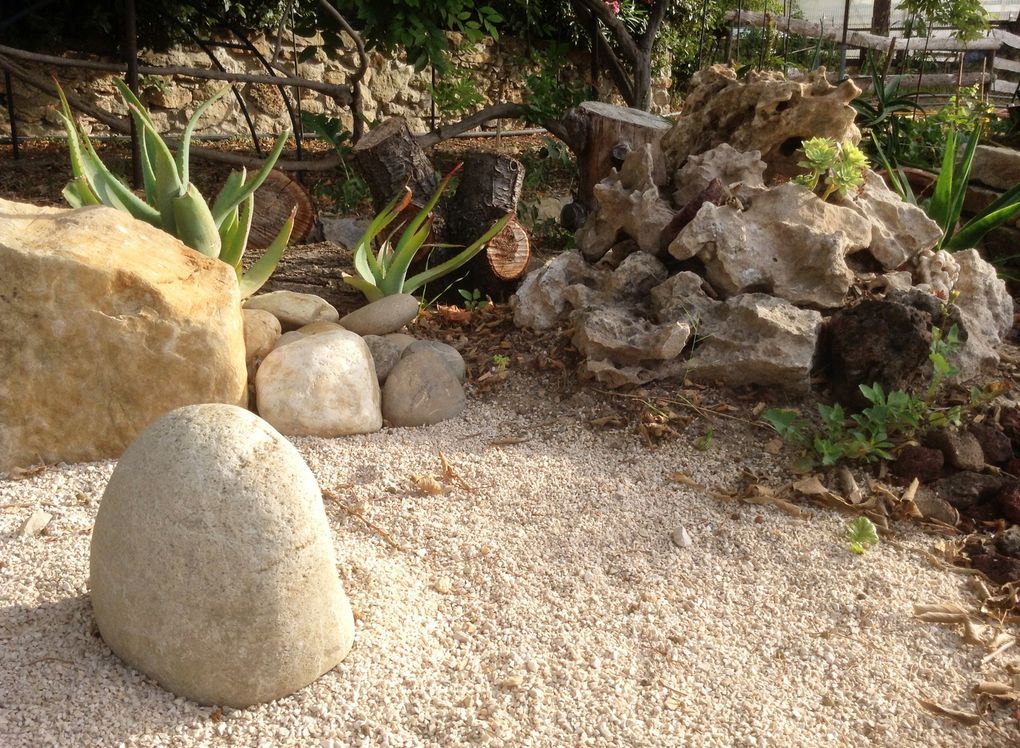 Jardin des saveurs, jardin magique, hortus du "Matrimoine Méditerranéen", jardin de la fraternité, engrais vert et jachère fleurie ... un petit coin de paradis à La Ciotat.