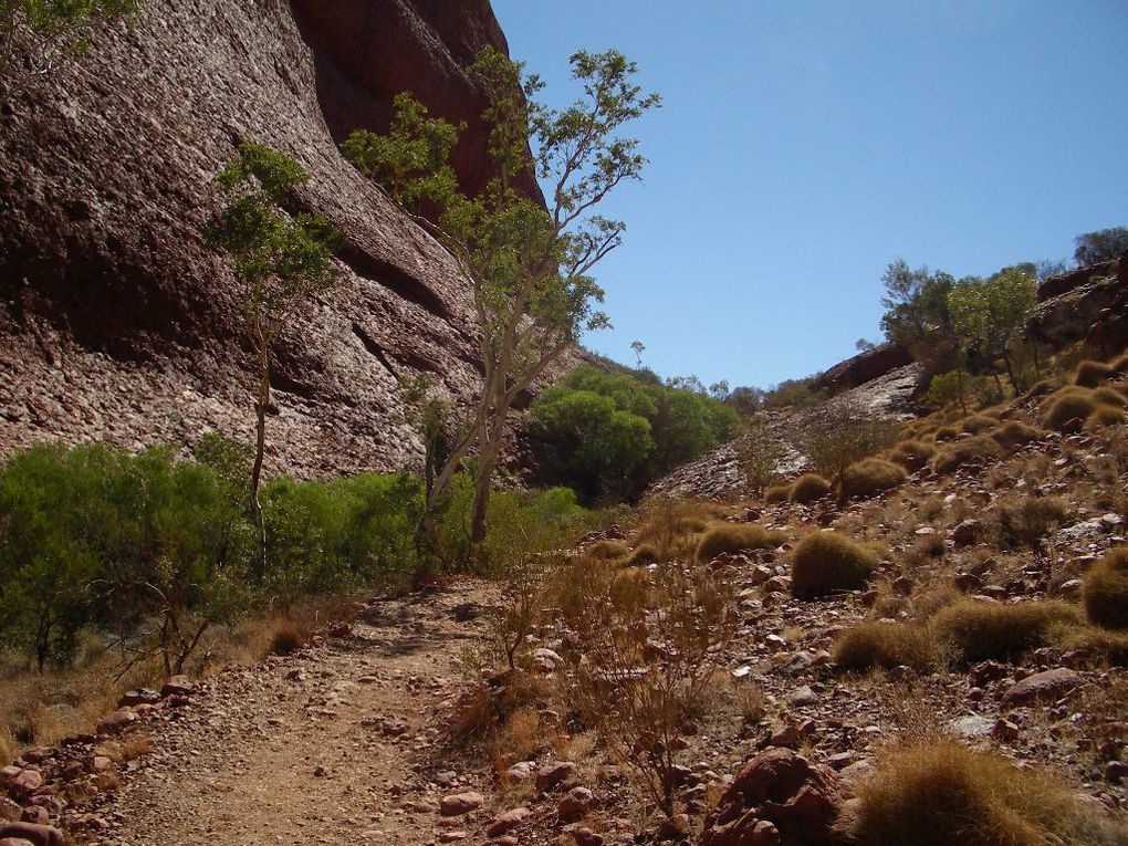 Album - The-Ultimate-Oz-Experience-2--Outback--The-Olgas---Ayers-Rock---Kings Canyon