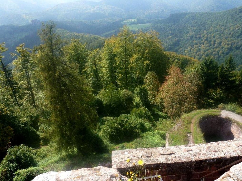 Les Vosges du Nord, diaporama (16 photos). Cliquez sur la flèche pour voir les photos une à une.