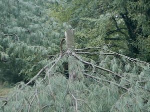 Entre orage, fin de l’été et rentrée scolaire