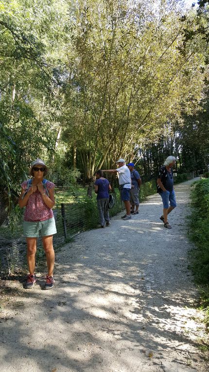 Séjour à La Rochelle septembre 2020