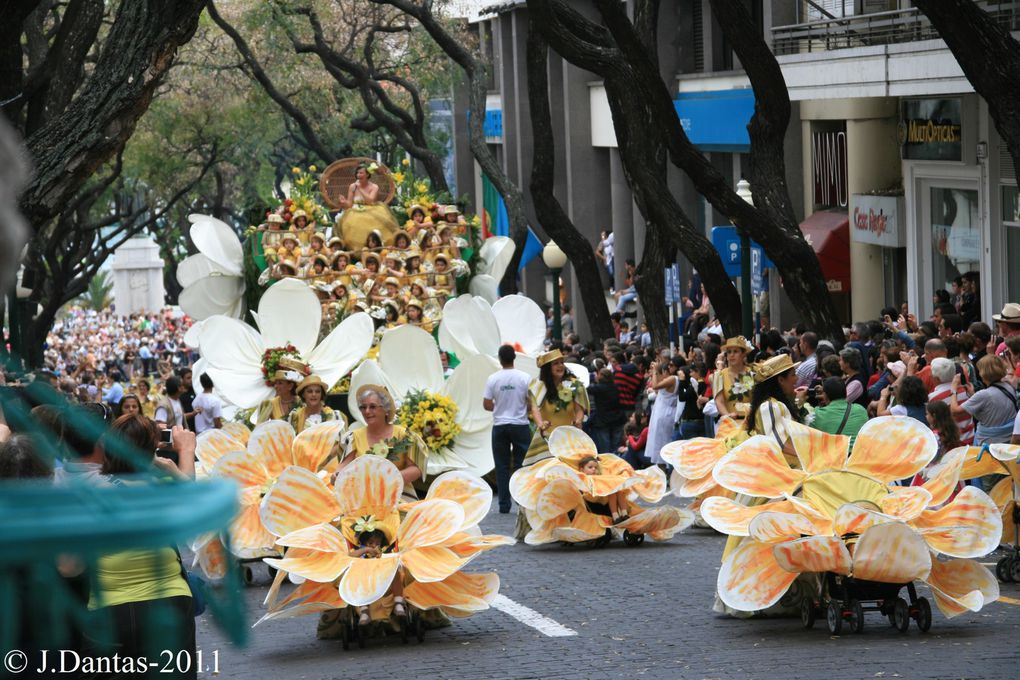 Madere-Funchal,c'est dans cette ville capitale de l'isle que se realise tous les ans la fete de la fleur,cette année c'etait du 5 au 8 Mai et j'y etait,voici quelques images