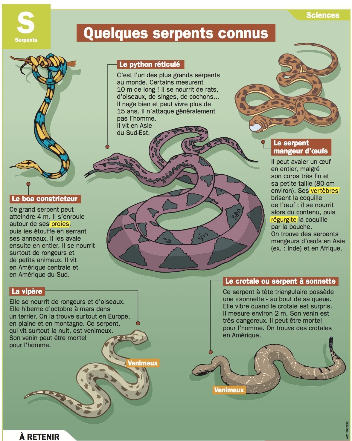 Les serpents