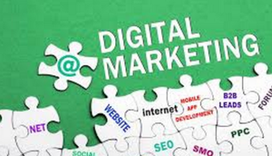 VGGroups is the    <a href="https://www.vggroups.com/">Digital agency in delhi</a>