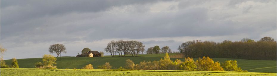 Chargé au nord, la pluie arrive !