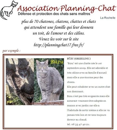 Planning Chat Le Rupellien