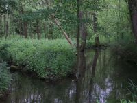 Parc de la Bouvaque