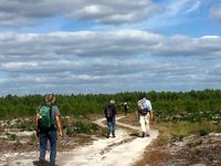 Rando de trois jours dans les LANDES, octobre 2018, Moustey, Pissos et Sore...