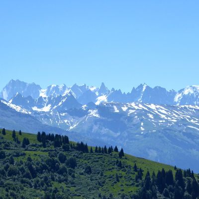 Premier retour en images sur l'été de nos 60 ans 