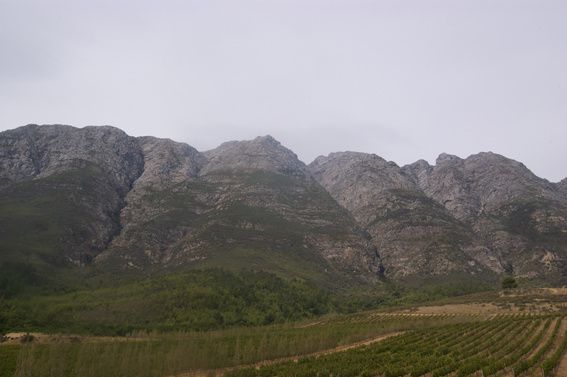 Fablewines, Rebecca Tanner and Paul Nicholls, Tulbagh, SA