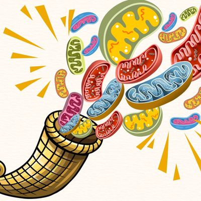 ZOOM sur notre production énergétique, mais pas que...