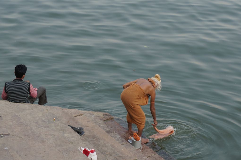 Benares : 15 février.Osez Benares : sur les bords du Gange pas très clair...