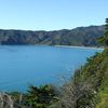 Kaikoura & Abel Tasman