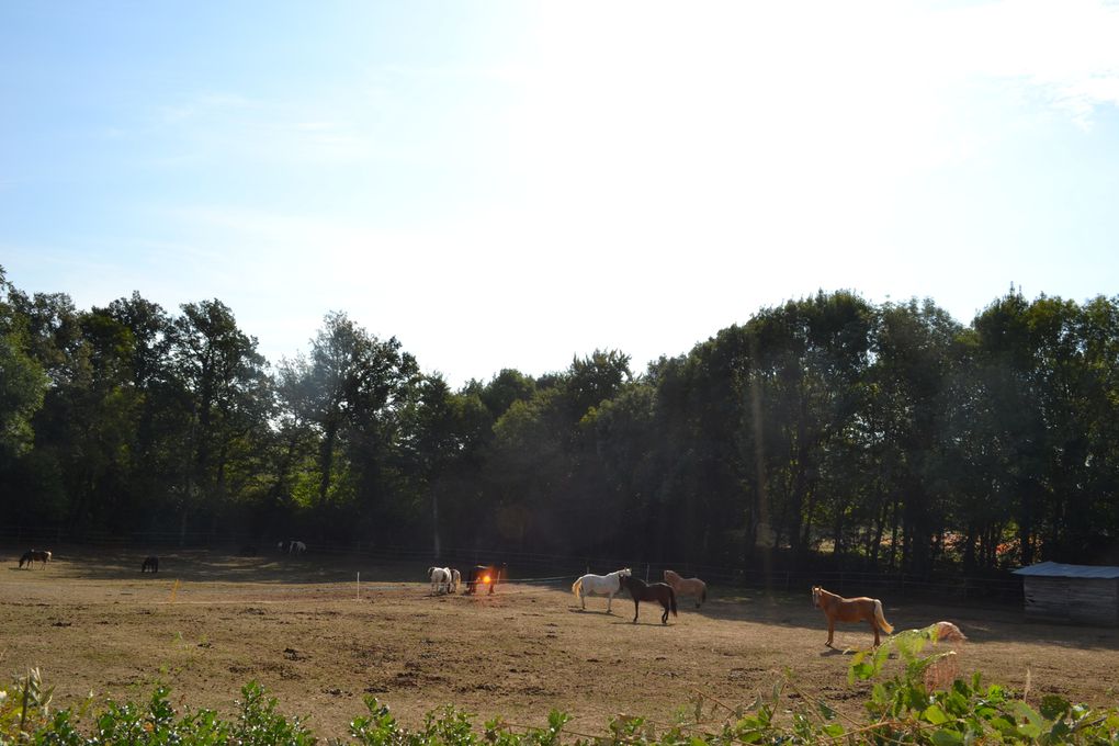 Album - Brousse-le-chateau