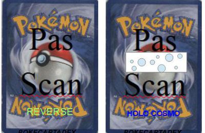SERIE/HEARTGOLD&SOULSILVER/INDOMPTABLE/1-10/5/90