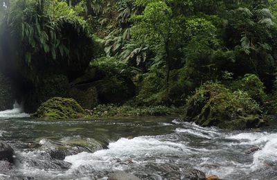 Vanuatu-Santo-Millenium Cave et journée au sud de l'île