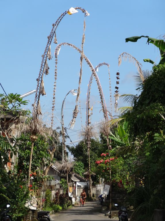 Album - 58.Alentours de Ubud (Bali-avril)