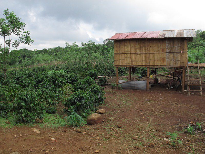 ALBUM - LAOS