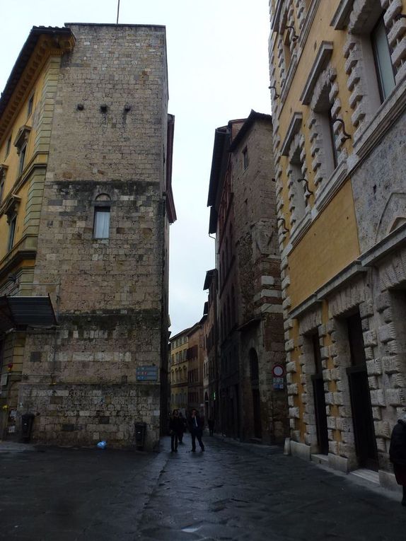 les rues étroites de Sienne ; la place avec sont campagnile ; la basilique avec sa façade époustouflante