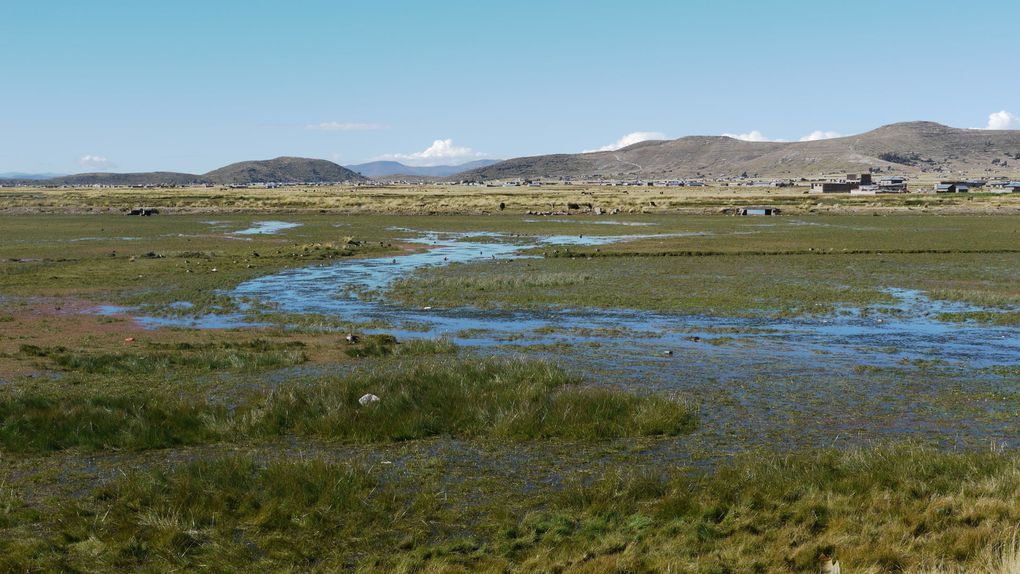 Voici diverses facettes du Lac TITICACA, côté bolivien et péruvien à 3800 M le plus haut de la planète.