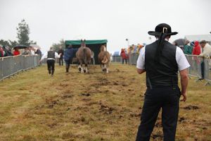 Postier breton