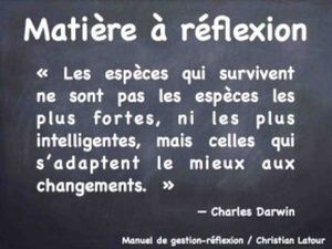 ENTREPRISES ET INSTITUTIONS: LA PENSÉE EST-ELLE ORGANISATIONNELLE, STRATÉGIQUE ET MANAGÉRIALE?  